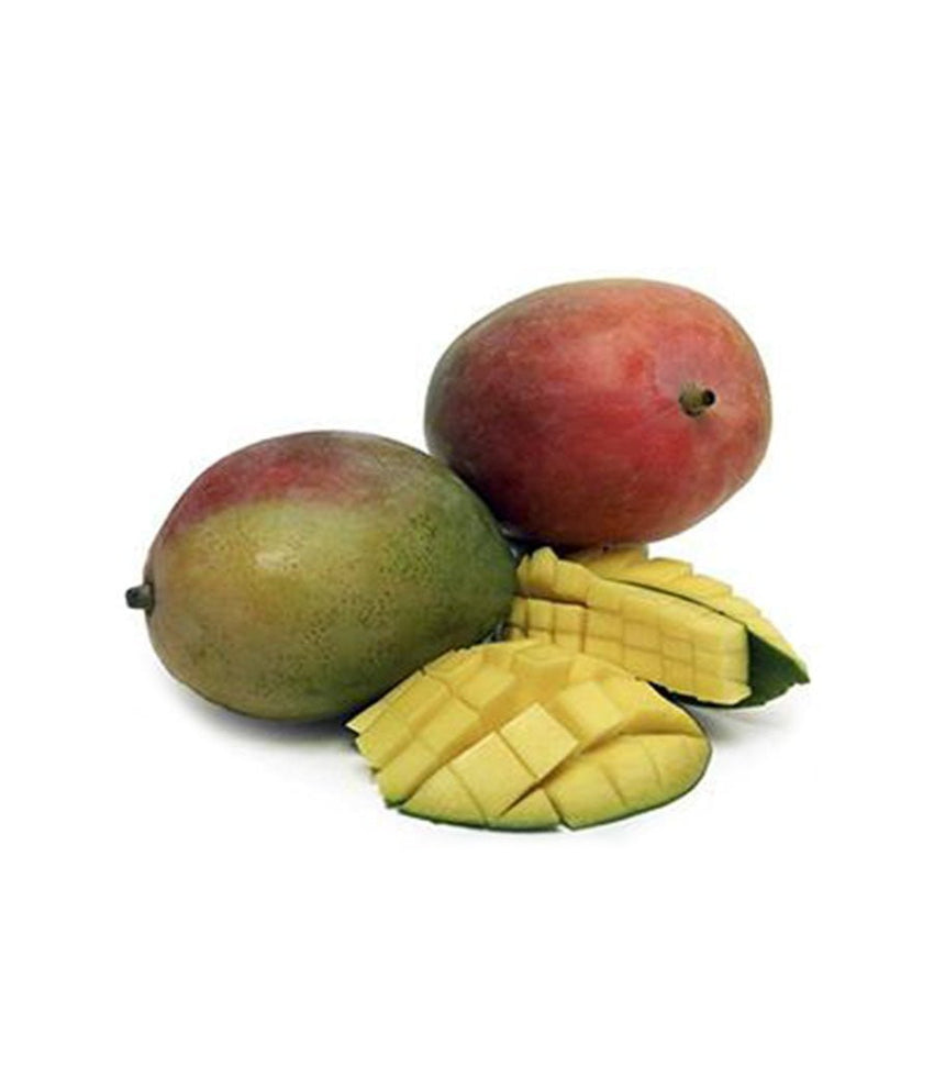 Boxed Kent (Dark Red-Green) Mangoes About 9 Count - Daily Fresh Grocery