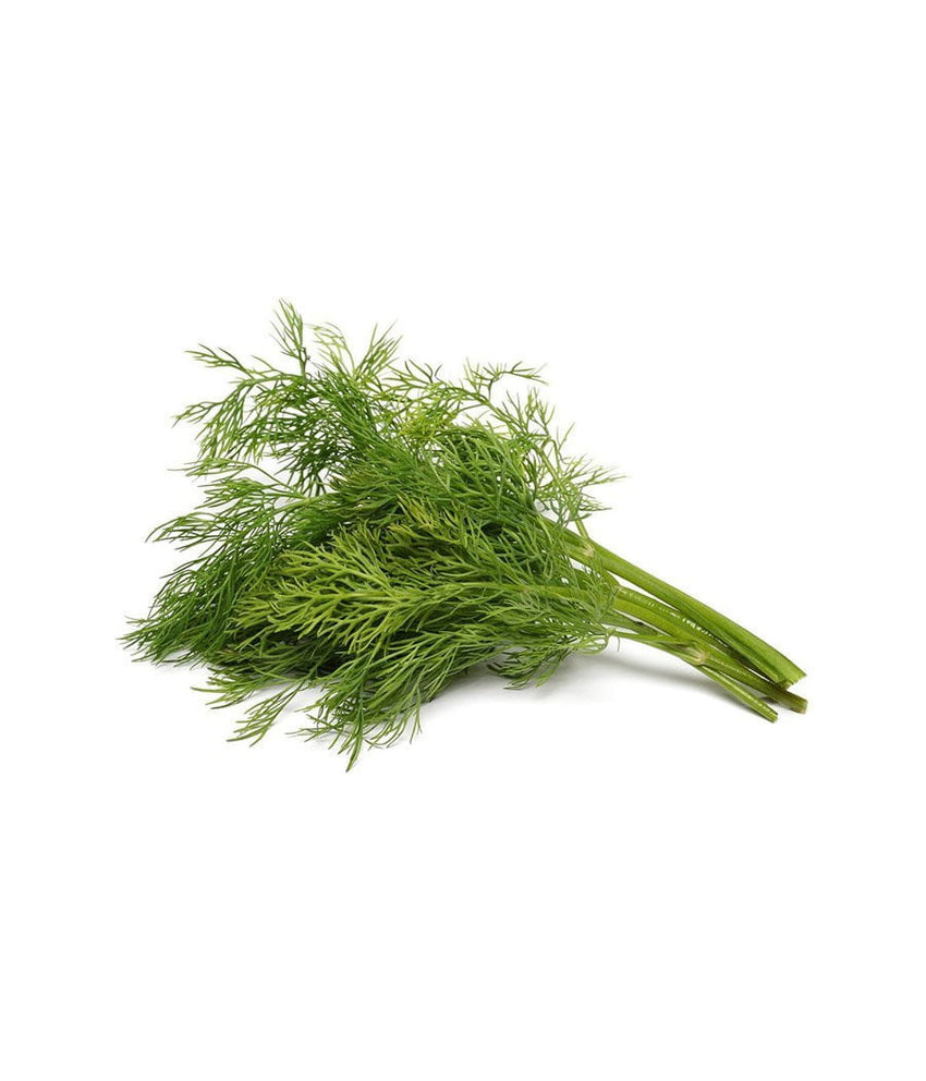Dill 1 bunch - Daily Fresh Grocery
