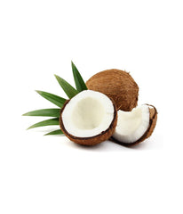 Fresh Coconut (Each) - Daily Fresh Grocery