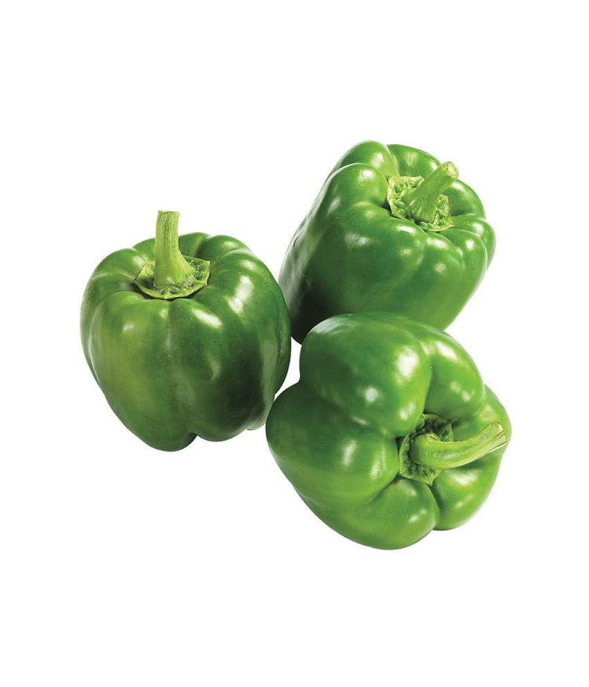 Green Bell Pepper 1 lb / 454 gram - Daily Fresh Grocery