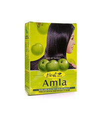 Hesh Amla Powder 100 gm - Daily Fresh Grocery