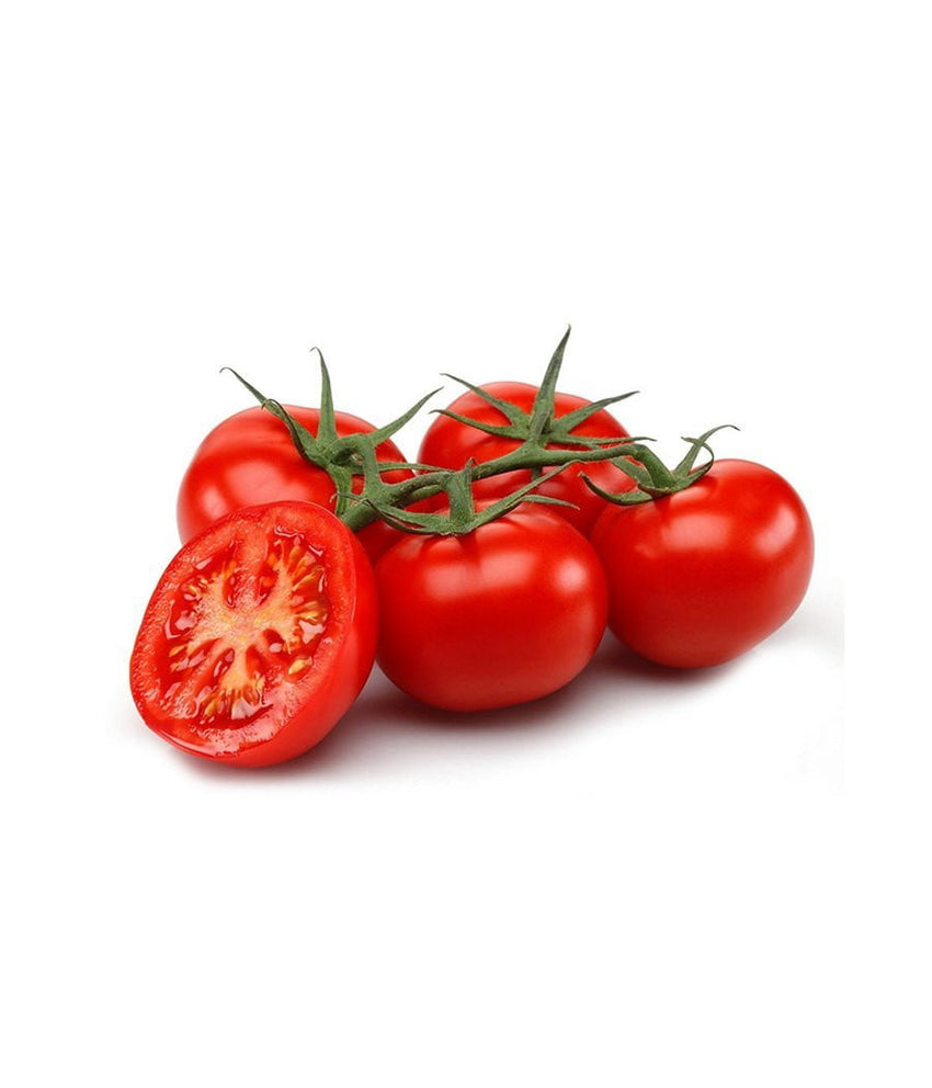 Holland Tomatoes 1 lb / 454 gram - Daily Fresh Grocery