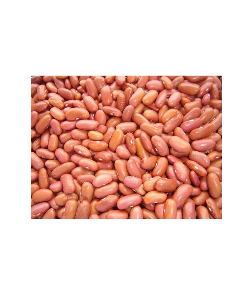 Kidney Beans Light / 7lbs - Daily Fresh Grocery