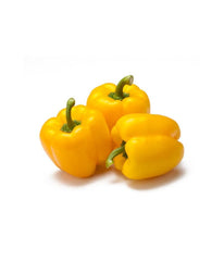 Yellow Bell Pepper 1 lb / 454 gram - Daily Fresh Grocery